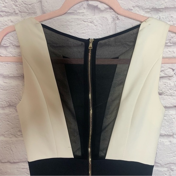 NWT Flavio Castellani Ivory And Black Elegant Bodycon Dress - Picture 7 of 16